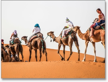 Family Morocco Tours