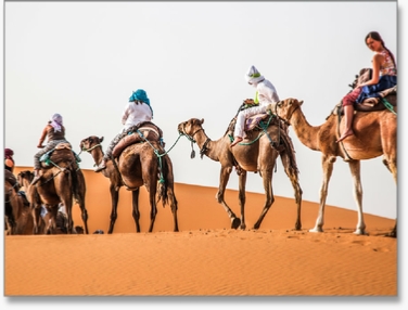 Family Morocco Tours