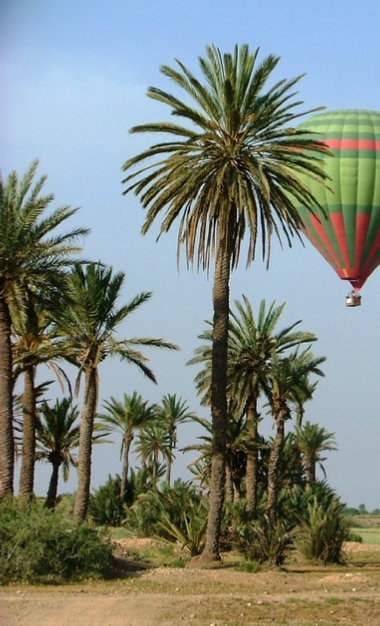 Top Activities Marrakech