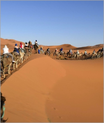 Agadir Tours