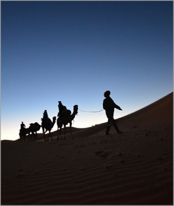 Essaouira Tours