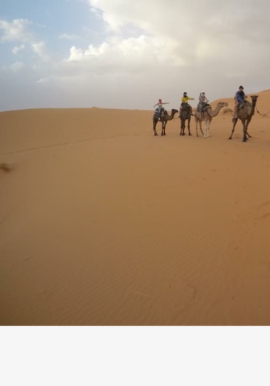 Agadir Tours