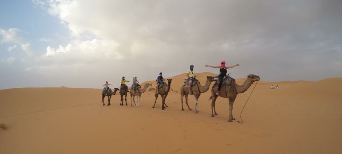 Agadir Tours