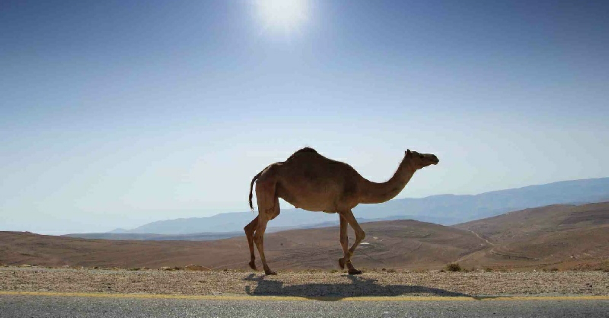 Marrakech to Merzouga Tours Marrakech to Merzouga Tours