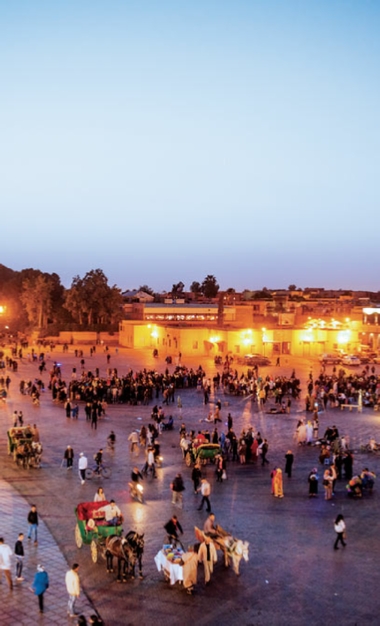 Marrakech Day Trips