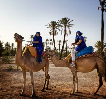 Camel Ride in Marrakech Palmeries