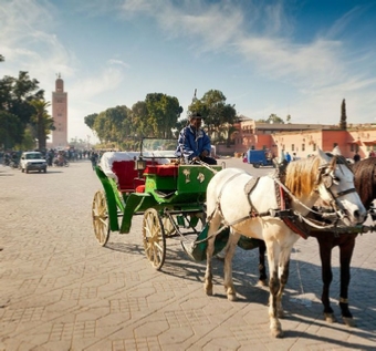 Marrakech Horse carriage with dinner