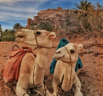 4 day tour from Marrakech to Merzouga desert