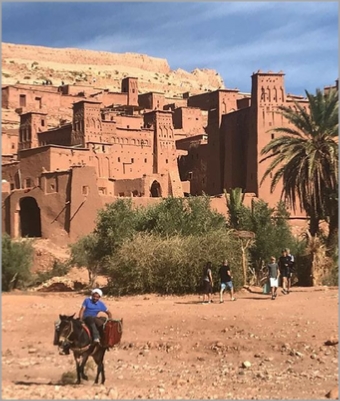 Tour from Marrakech